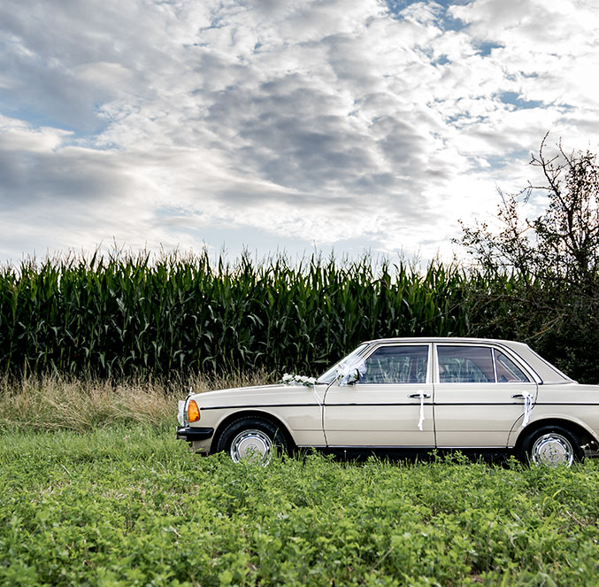 Oldtimer Auto Fahrzeug Klassiker Mercedes Benz